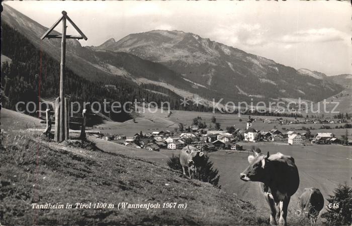 Tannheim Tirol Panorama mit Wannenjoch Allgaeuer Alpen Wegekreuz Kuehe