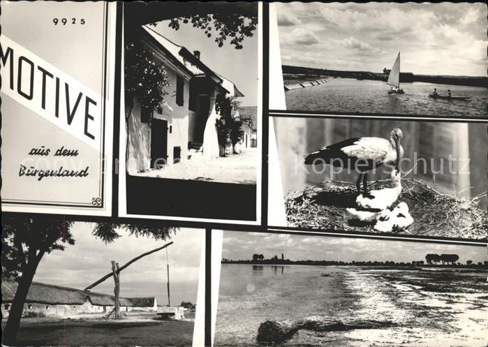 Eisenstadt Motive aus dem Burgenland Brunnen See Storche