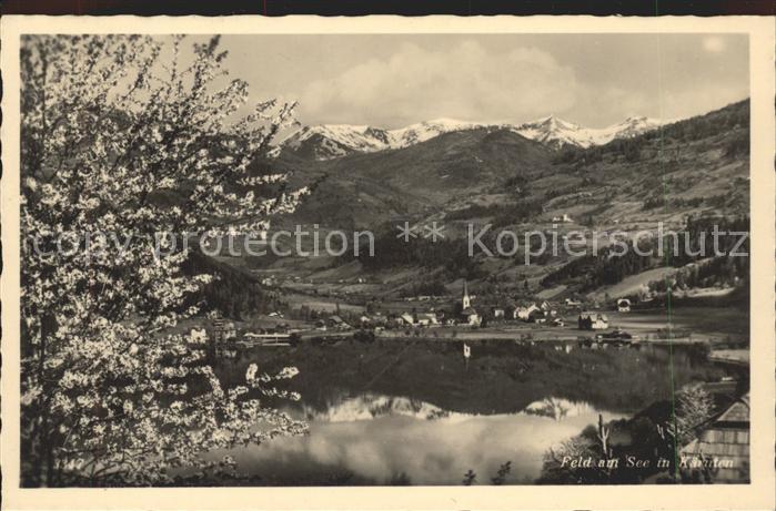 Feld See Panorama Baumbluete