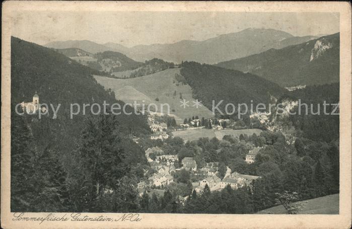 Gutenstein Niederoesterreich Totalansicht