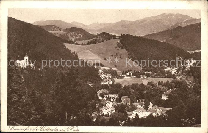 Gutenstein Niederoesterreich Totalansicht