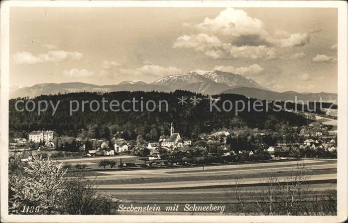 Seebenstein mit Schneeberg