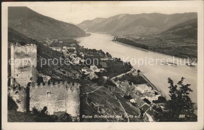 Spitz Donau Ruine Hinterhaus mit Donaublick