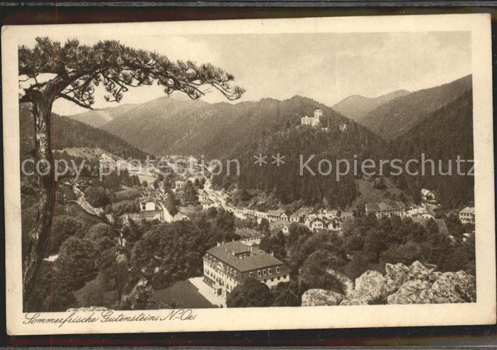 Gutenstein Niederoesterreich Gesamtansicht