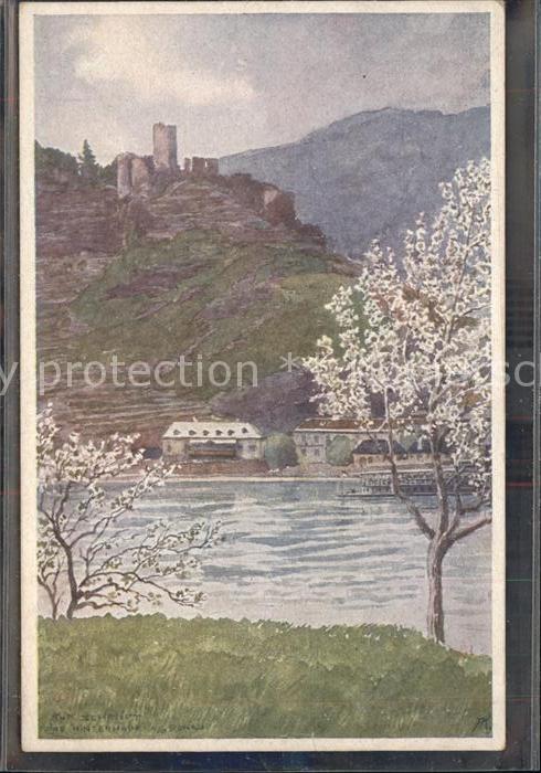 Spitz Donau Ruine Hinterhaus mit Donau Kuenstlerkarte