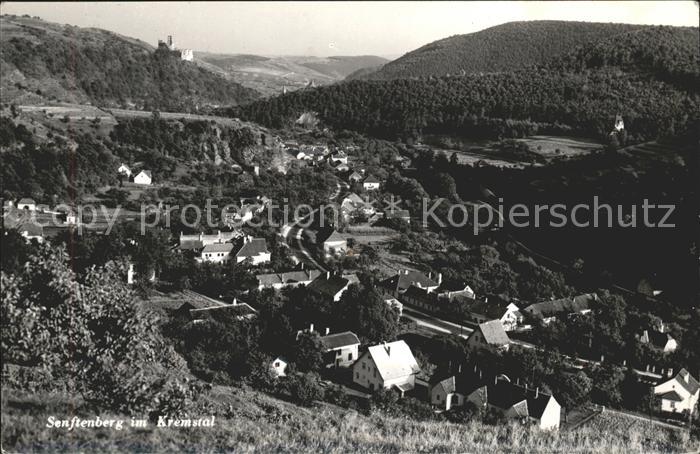 Senftenberg Niederoesterreich Ortsansicht Kremsertal