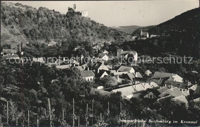 Senftenberg Niederoesterreich Ortsblick mit Burg