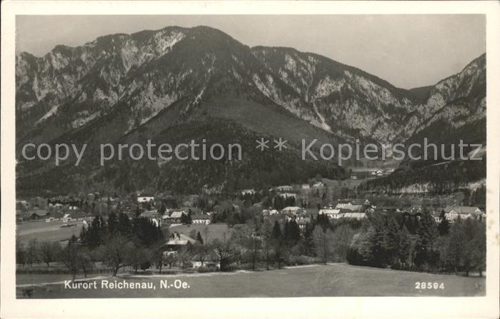 Reichenau Kaernten Ortsansicht