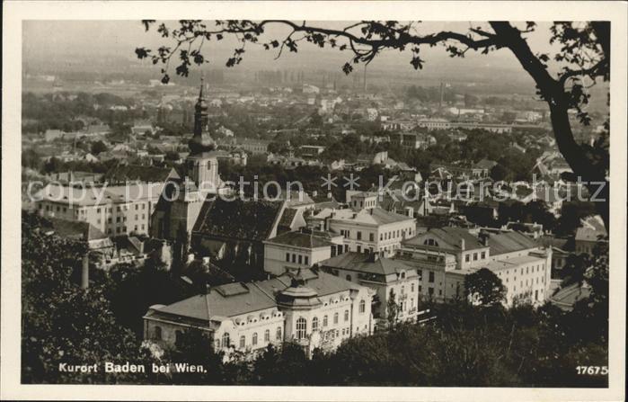 Baden Wien Panorama