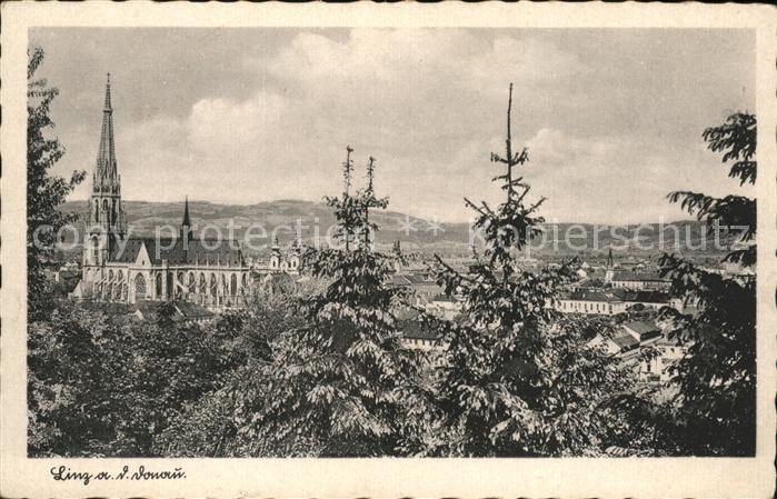 Linz Donau Stadtbild mit Maria Empfaengnis Dom