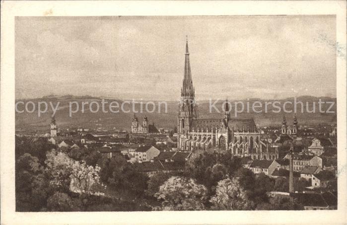 Linz Donau Stadtbild mit Maria Empfaengnis Dom Kuenstlerkarte Nr. 8011/10