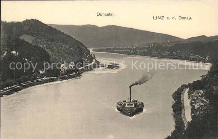 Linz Donau Donautal Dampfer Handkolorierte Kuenstlerkarte