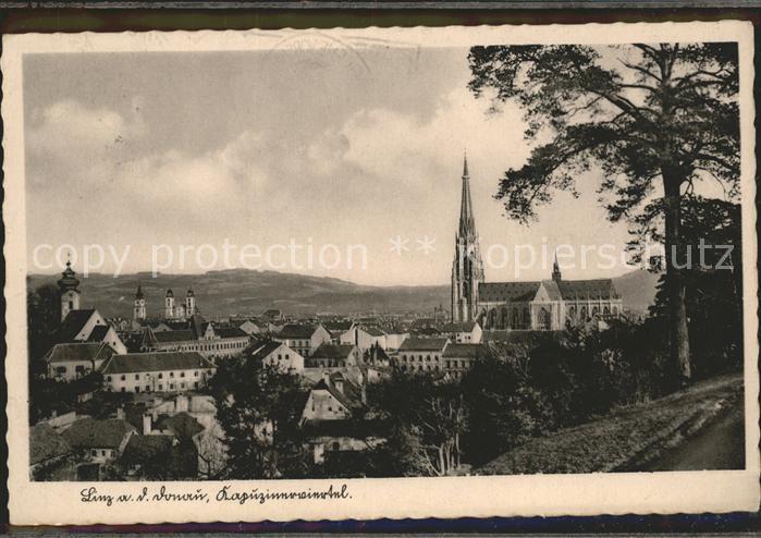 Linz Donau Kapuzinerviertel mit Maria Empfaengnis Dom