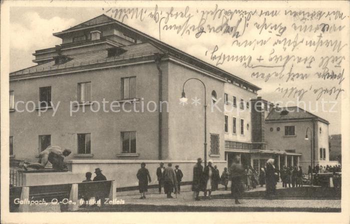 Gallspach Institut Zeileis