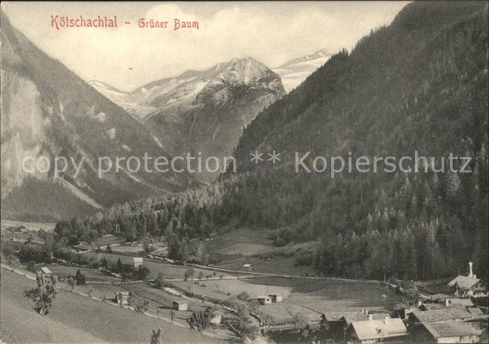 Koetschachtal Gruener Baum Panorama