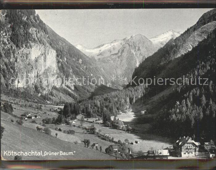 Koetschachtal Gruener Baum