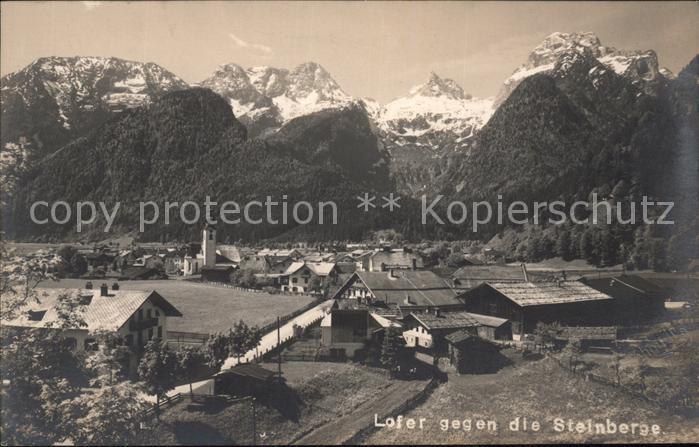 Lofer Ortsblick mit Steinbergen