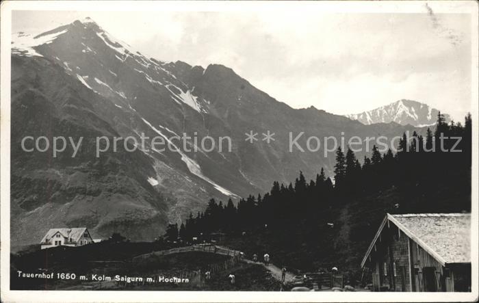 Tauern Tauernhof Kolm Saigurn