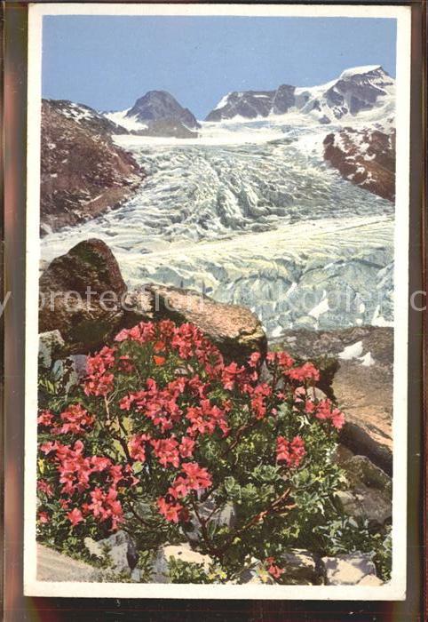 Verlag Photochromie Nr. 1500 Serie 582 Almenrausch am Persglets