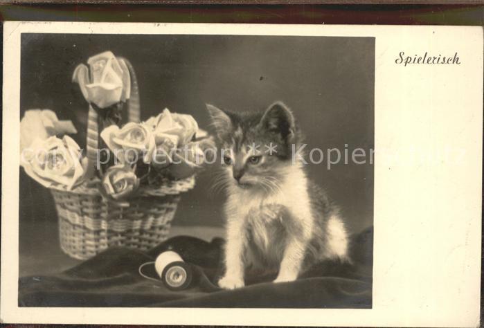 Verlag Amag Nr. 68009/1 Katze Rosen Fadenrolle