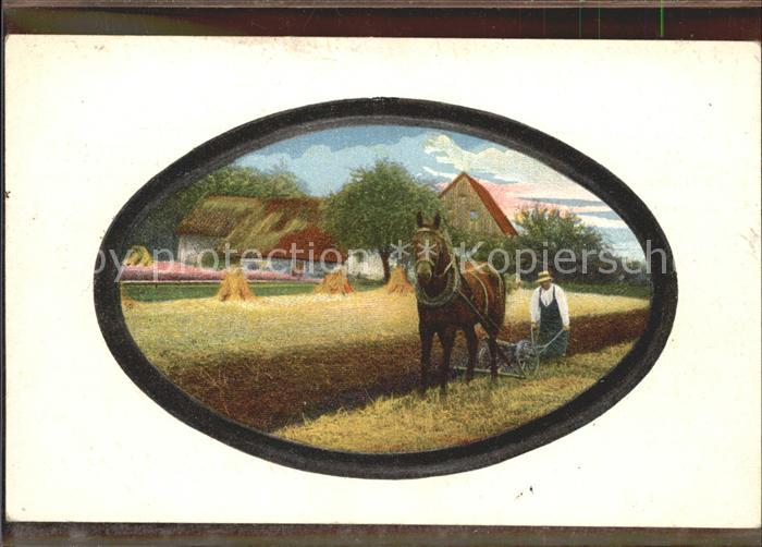 Landwirtschaft Heu-Feld Pferd