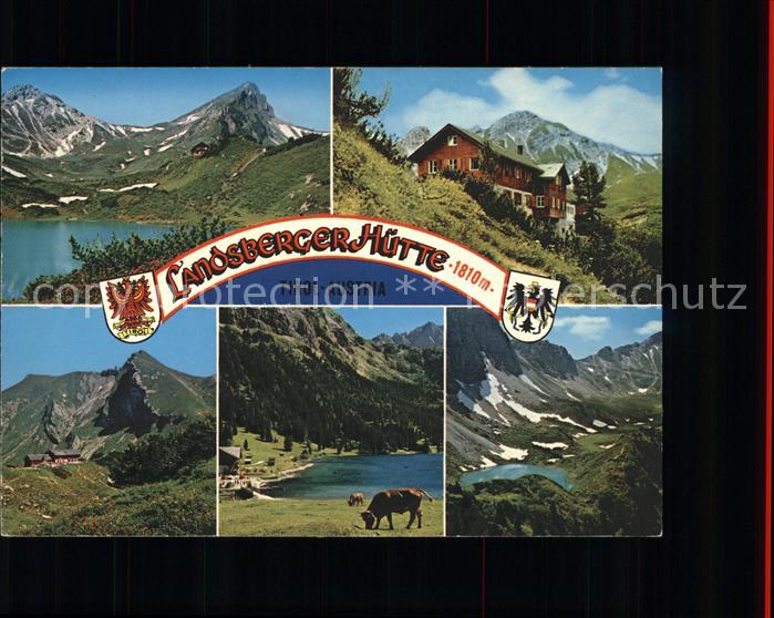 Landsbergerhuette Schutzhuette Allgaeuer Alpen Traualpsee Kuehe