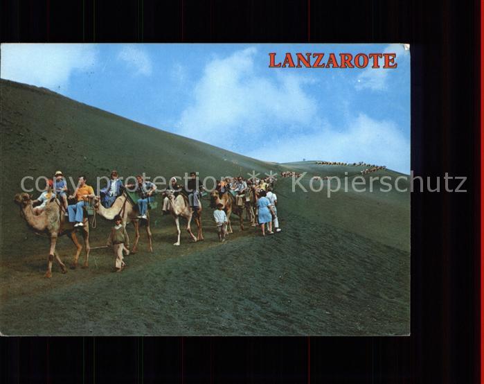 Lanzarote Kanarische Inseln Montana de Fuego Caravana de camellos Kamel Karawane