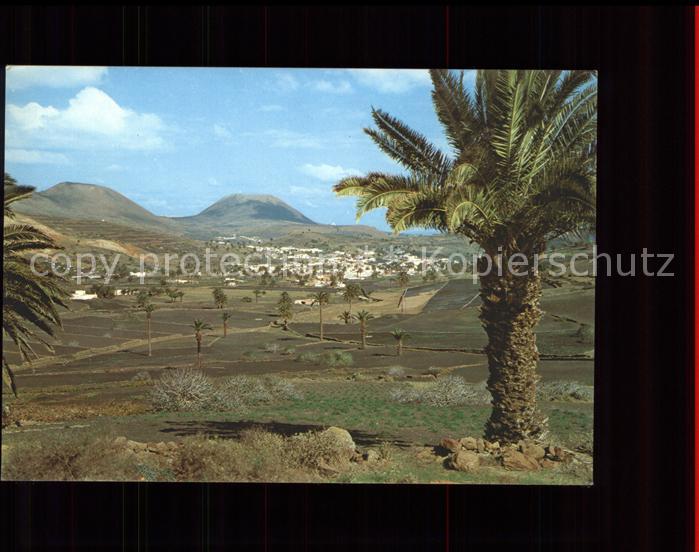 Haria Valle de las Palmeras Tal der Palmen