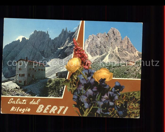 Rifugio Antonio Berti Schutzhuette Dolomiten Alpenblumen