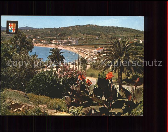 San Feliu de Guixols Vista parcial Playa Strand Palmen