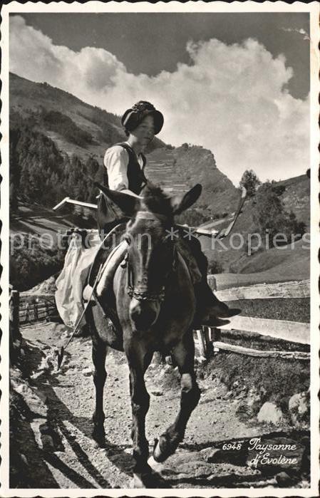 Tiere Esel Nutztier Paysanne d_Evolene