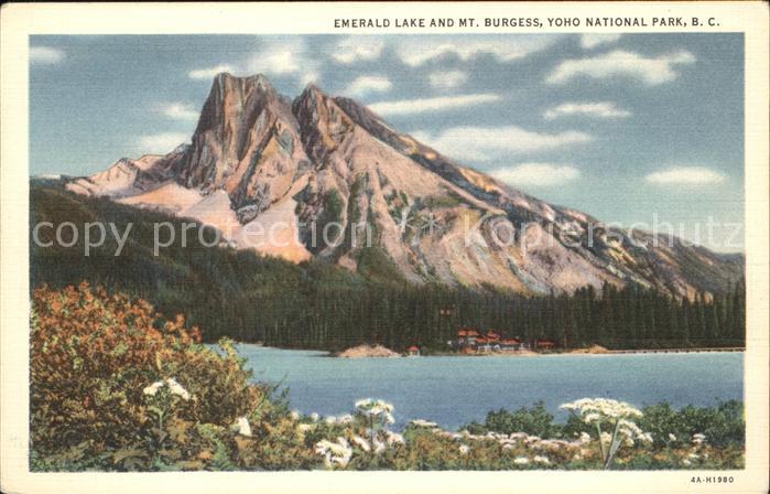 Burgess Emerald Lake And MT. im Yoho National-Park