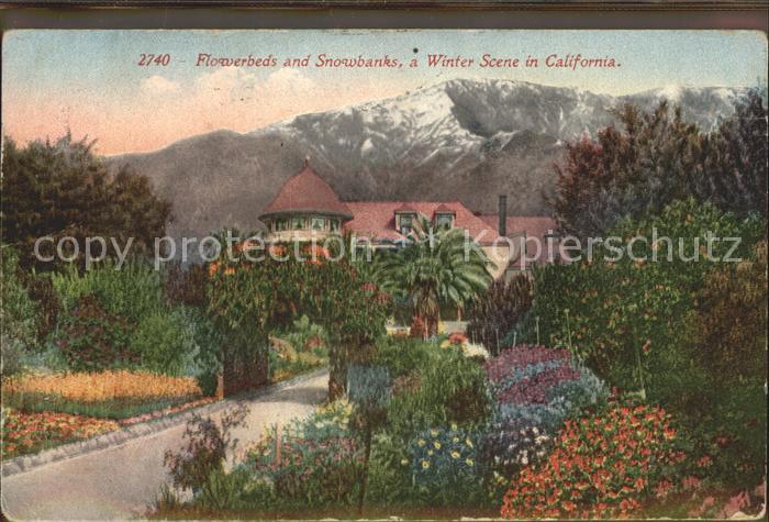 San Francisco California Flowerbeds and Snowbanks a Winter Scene