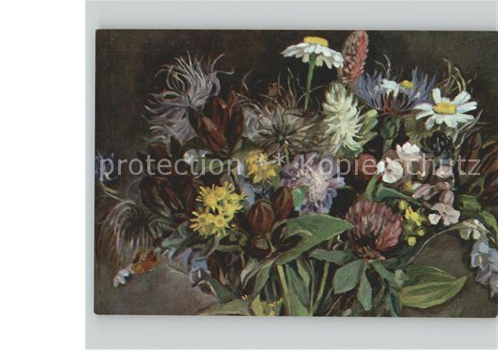 Blumen Bergblumen