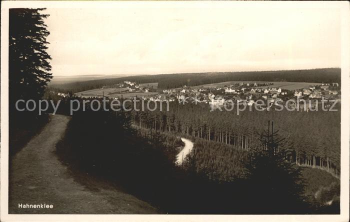 Hahnenklee-Bockswiese Harz Panorama vom Waldweg aus