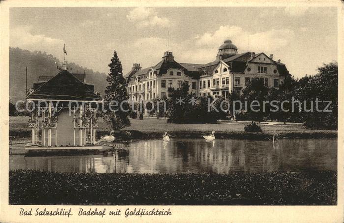 Bad Salzschlirf Badehof u.Goldfischteich (Feldpost)