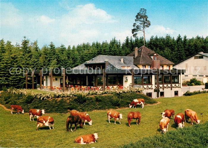 Bad Duerrheim Waldcafe Ausflugsort im Schwarzwald Kuehe
