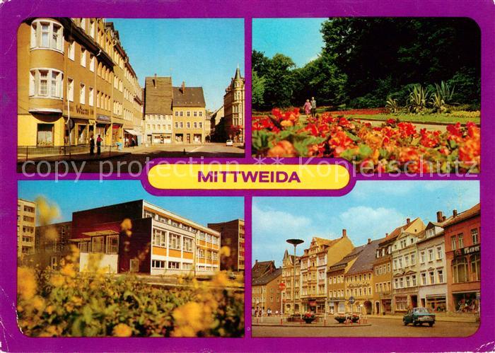 Mittweida Markt Park am Schwanenteich Poliklinik