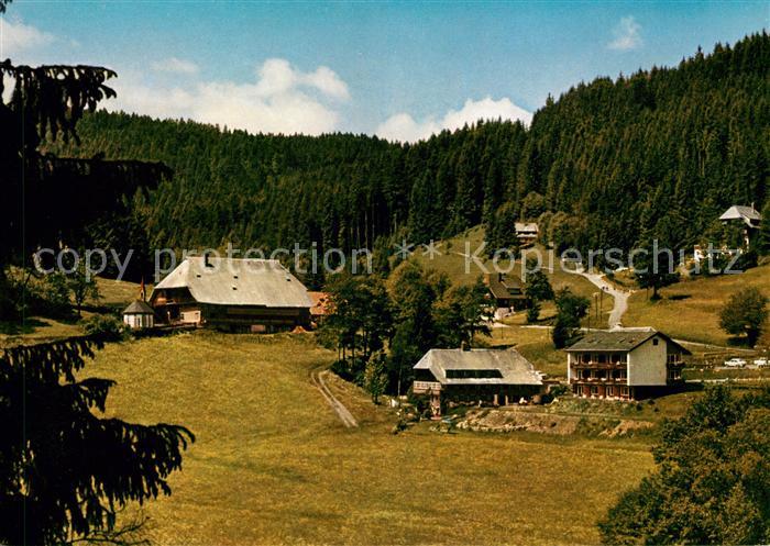 Hinterzarten Breisgau-Hochschwarzwald BW Pension Birkenberger Kesslermuehle im S
