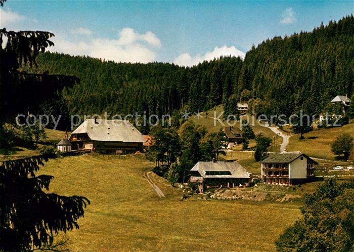 Hinterzarten Breisgau-Hochschwarzwald BW Pension Birkenberger Kesslermuehle im S