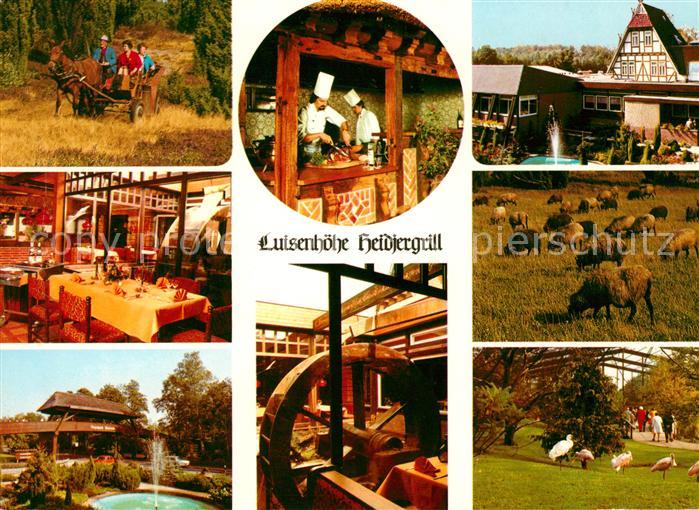 Walsrode Lueneburger Heide Luisenhoehe Heidiergrill am Vogelpark Forellenlokal