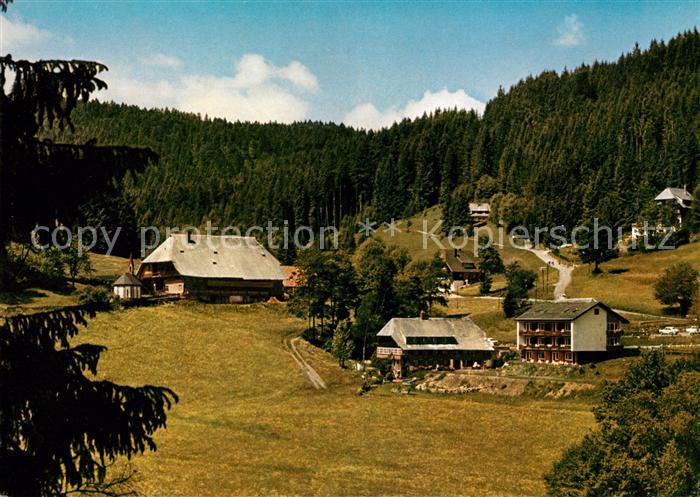 Hinterzarten Breisgau-Hochschwarzwald BW Pension Birkenberger Kesslermuehle