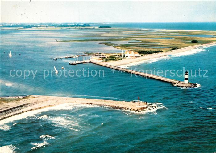 Schleimuende Fliegeraufnahme