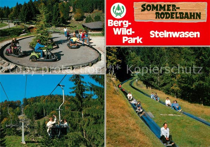 Todtnau Bergwildpark Steinwasen Sommerrodelbahn