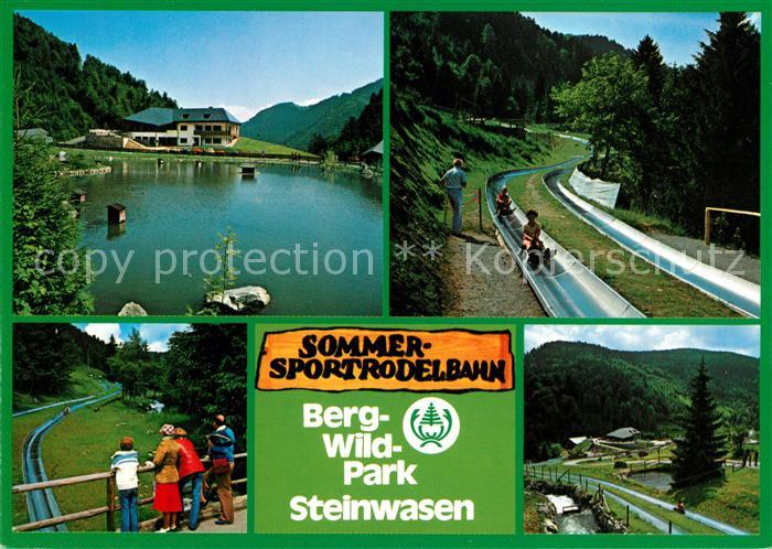 Todtnau Bergwildpark Steinwasen Sommersportrodelbahn