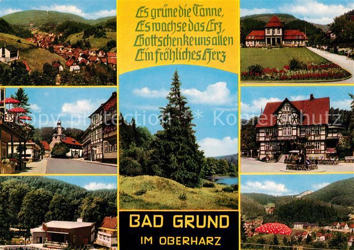 Bad Grund Panorama Fachwerkhaus Ortsansichten
