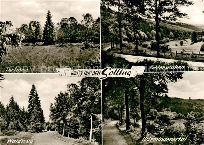 Solling Bodenfelde Torfmoor Fohlenplaken Waldweg Holzmindenertal