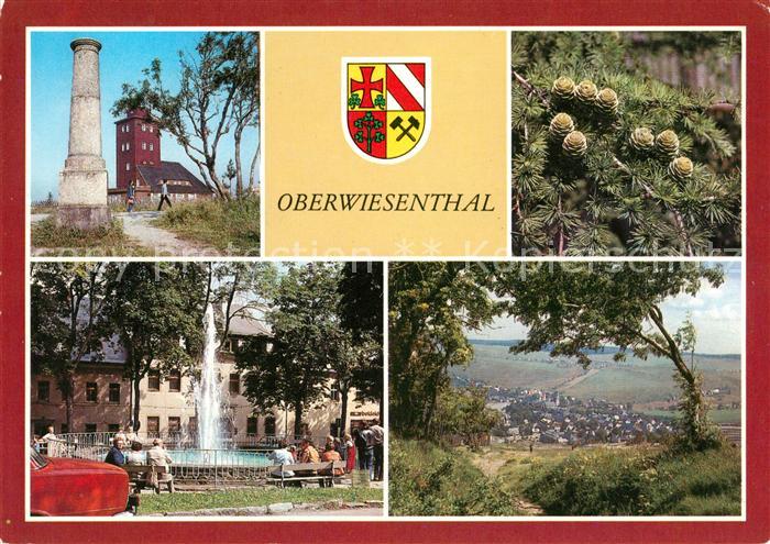 Oberwiesenthal Erzgebirge Meteo Station auf dem Fichtelberg Laerchenzapfen Sprin