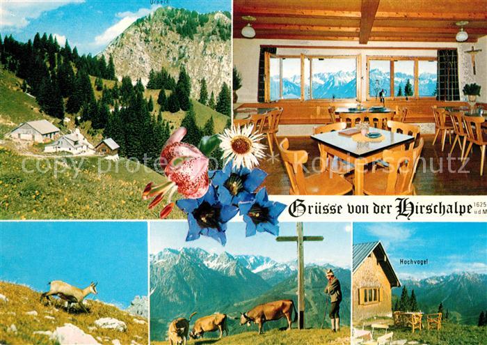 Oberjoch Hirschalpe Gaststube Gemsen Gipfelkreuz Hochvogel