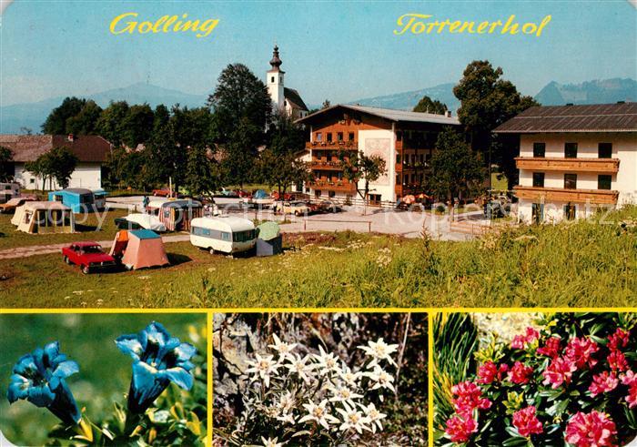 Golling Salzach Torrenerhof Camping mit Haflingerhof
